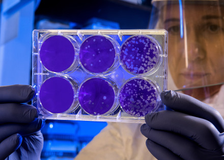 dr_trilla_solucions_globals_pandemia