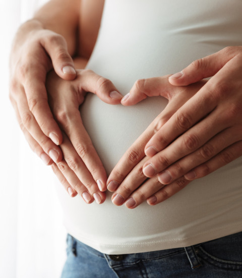 gravida FIV i vitrificació 2